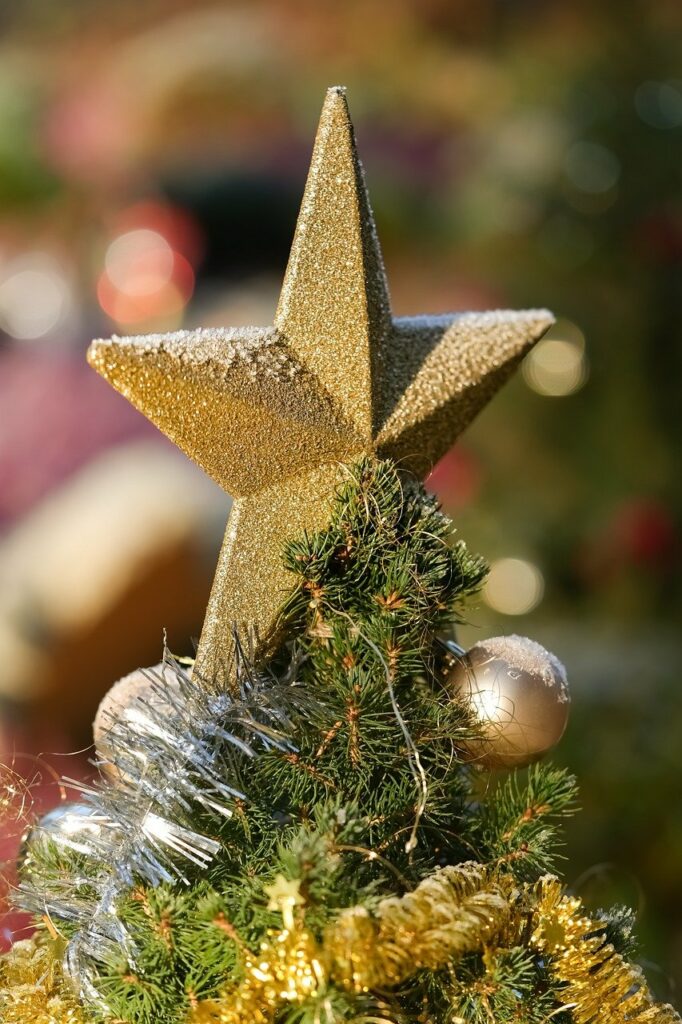 star, christmas star, fir tree-7663272.jpg